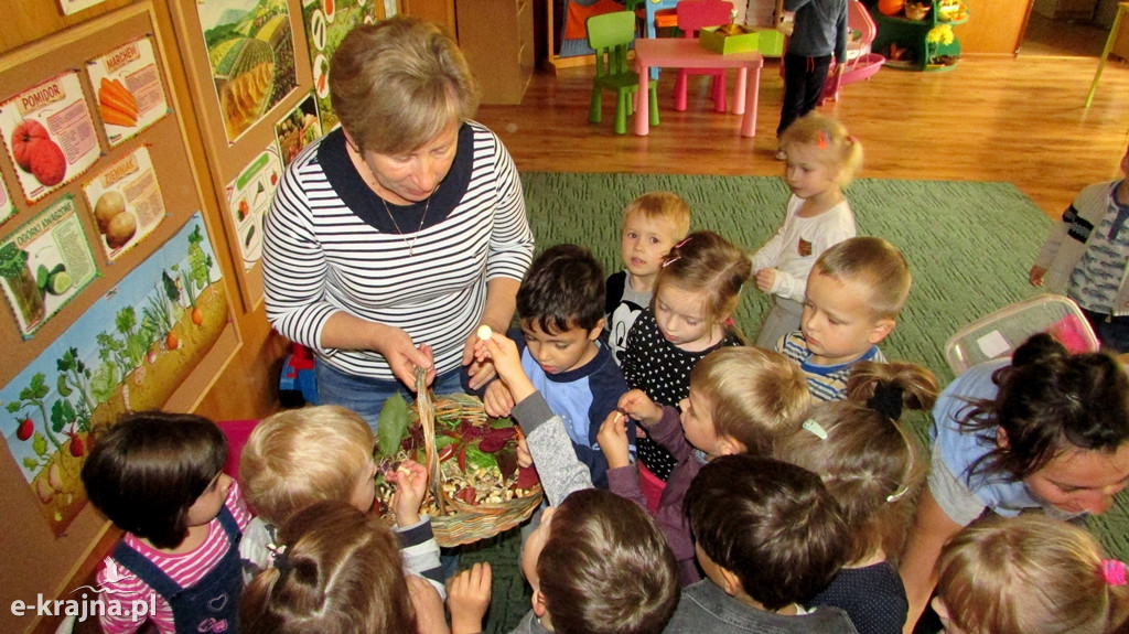 Obchody Światowego Dnia Drzew w 
