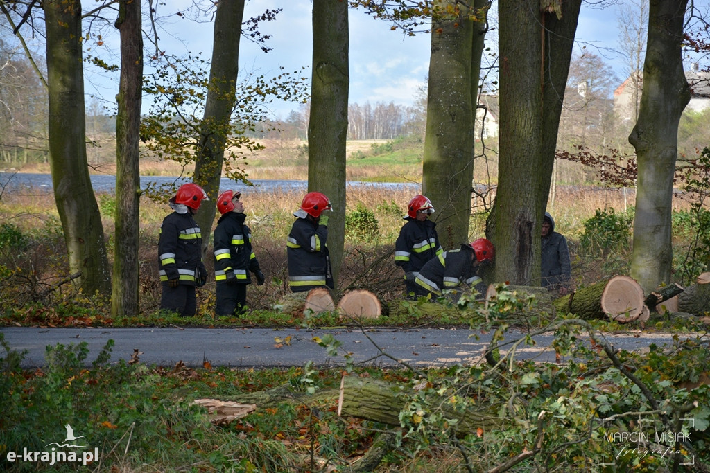 Powiat sępoleński: Drzewo spadło na samochód