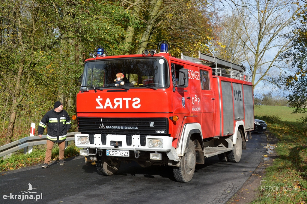 Powiat sępoleński: Drzewo spadło na samochód