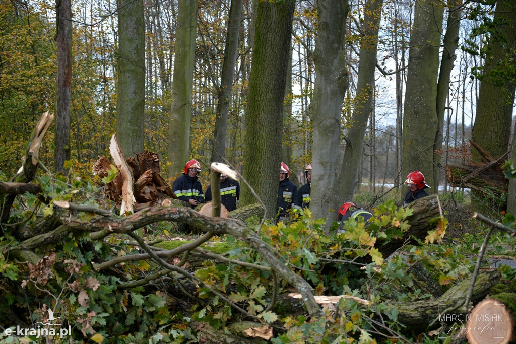 Powiat sępoleński: Drzewo spadło na samochód