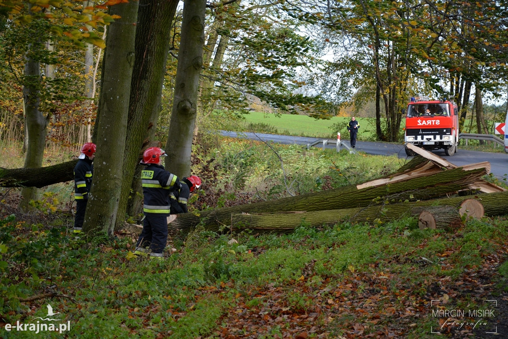 Powiat sępoleński: Drzewo spadło na samochód