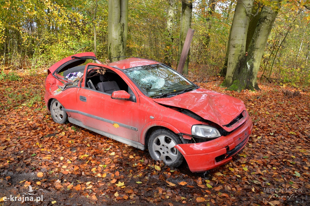 Powiat sępoleński: Drzewo spadło na samochód