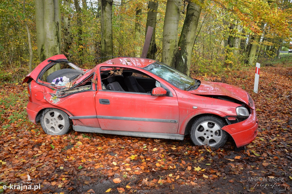 Powiat sępoleński: Drzewo spadło na samochód