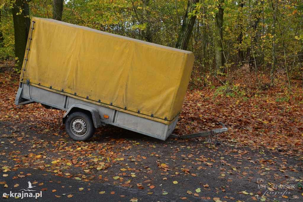 Powiat sępoleński: Drzewo spadło na samochód