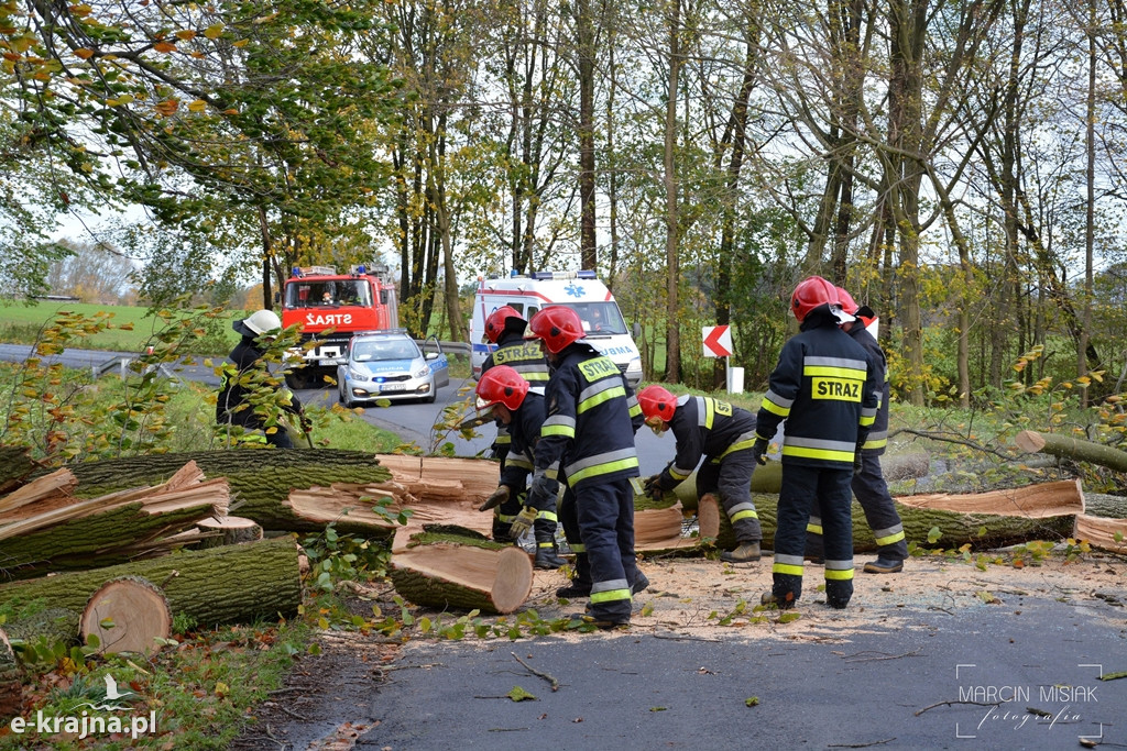 Powiat sępoleński: Drzewo spadło na samochód