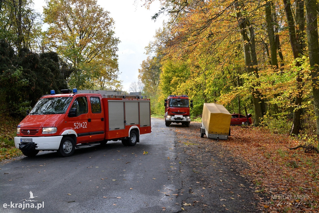 Powiat sępoleński: Drzewo spadło na samochód