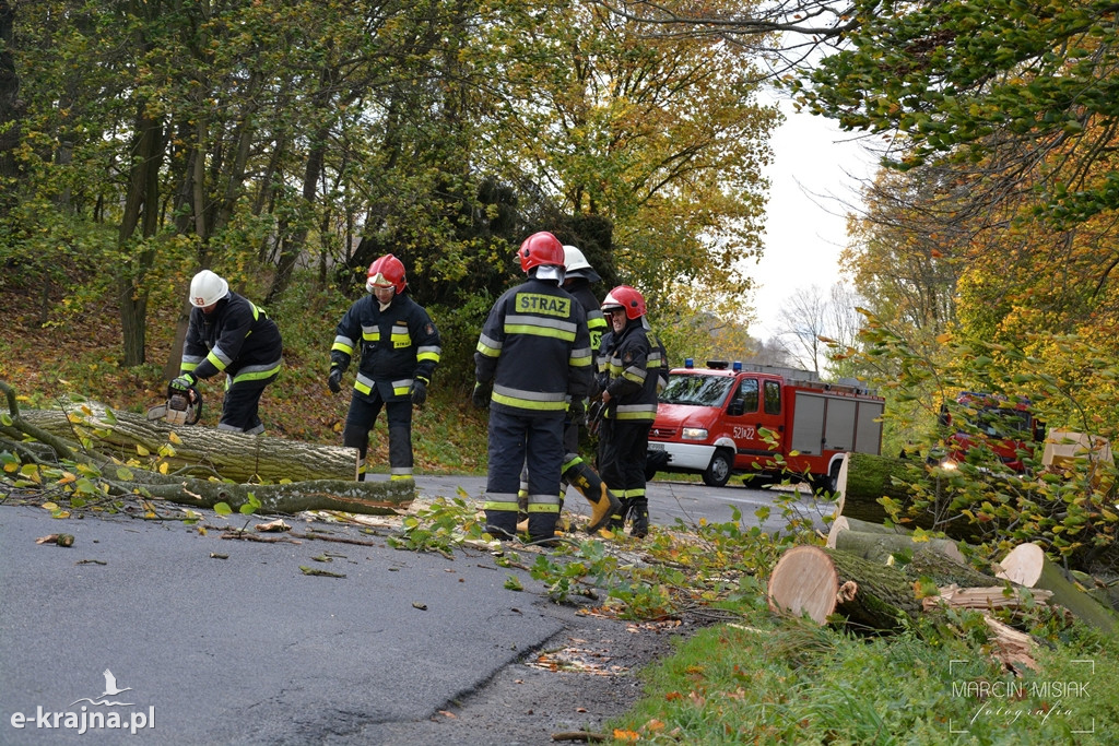 Powiat sępoleński: Drzewo spadło na samochód
