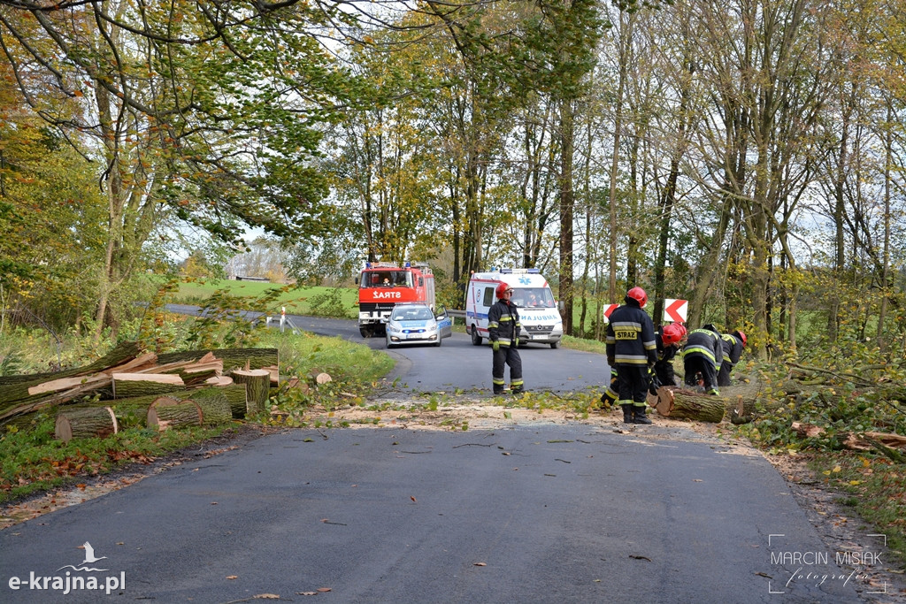 Powiat sępoleński: Drzewo spadło na samochód