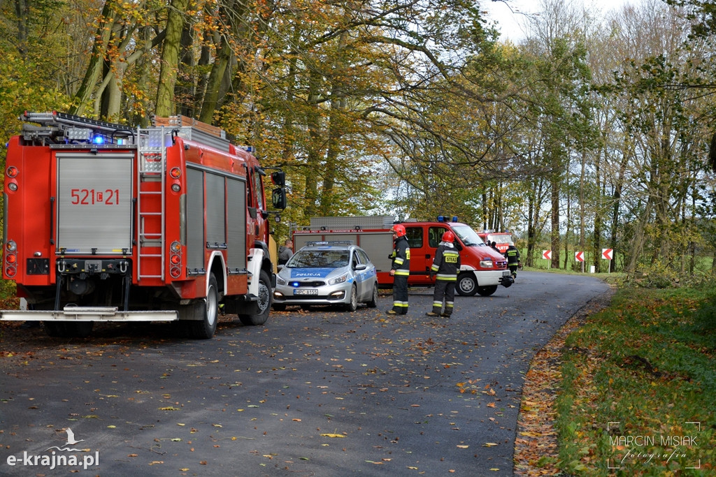 Powiat sępoleński: Drzewo spadło na samochód