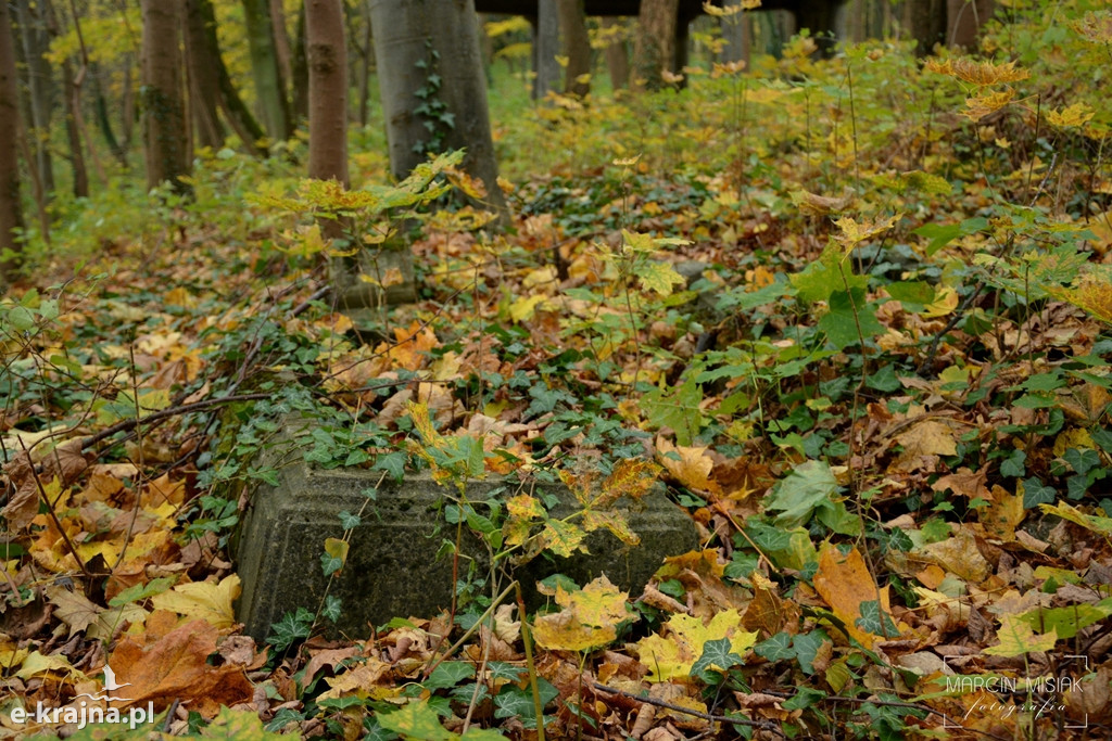 Wszystkich Świętych