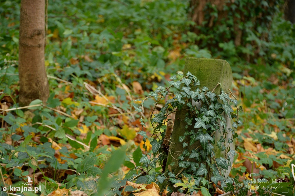 Wszystkich Świętych