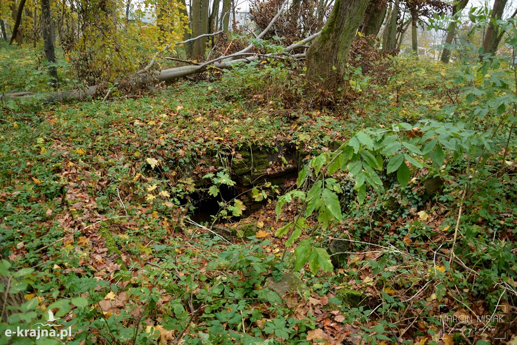 Wszystkich Świętych