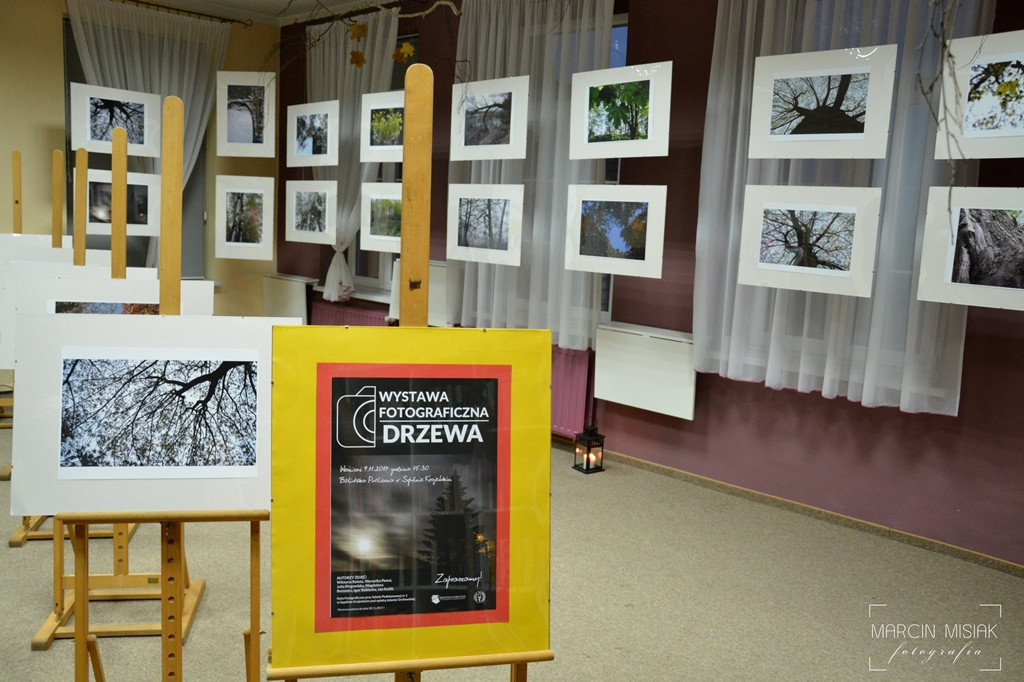 Drzewa w sępoleńskiej bibliotece