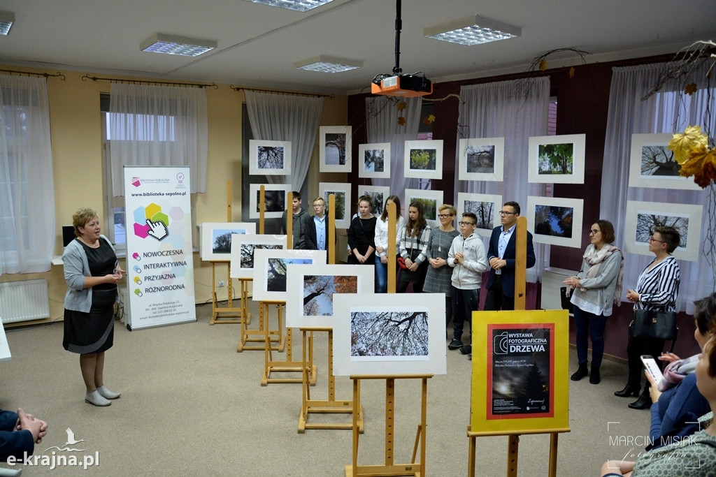 Drzewa w sępoleńskiej bibliotece
