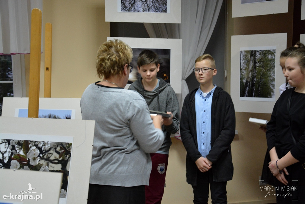 Drzewa w sępoleńskiej bibliotece