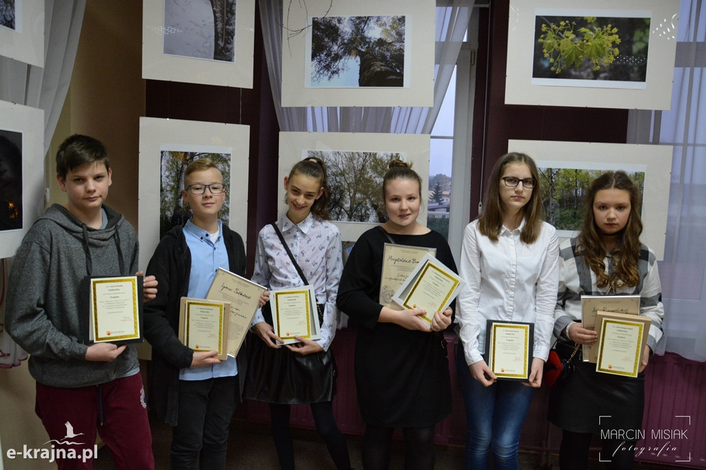 Drzewa w sępoleńskiej bibliotece