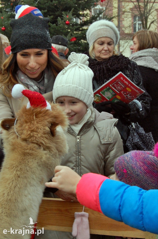 Kolędowanie przy więcborskiej żywej szopce