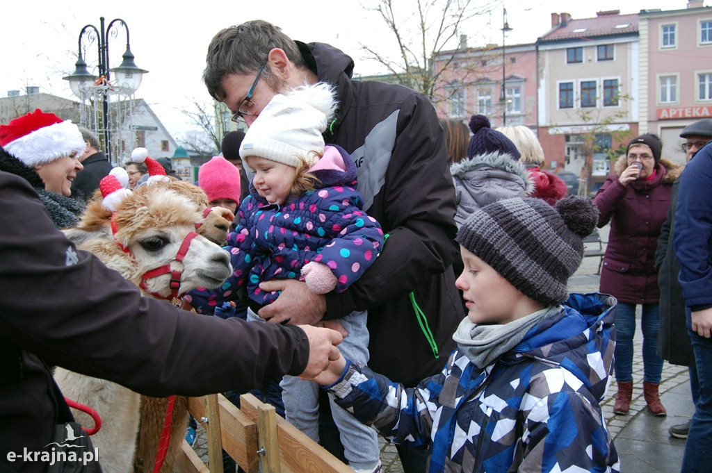 Kolędowanie przy więcborskiej żywej szopce