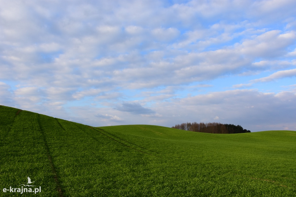 Rok piękna, zniszczenia i ocalenia