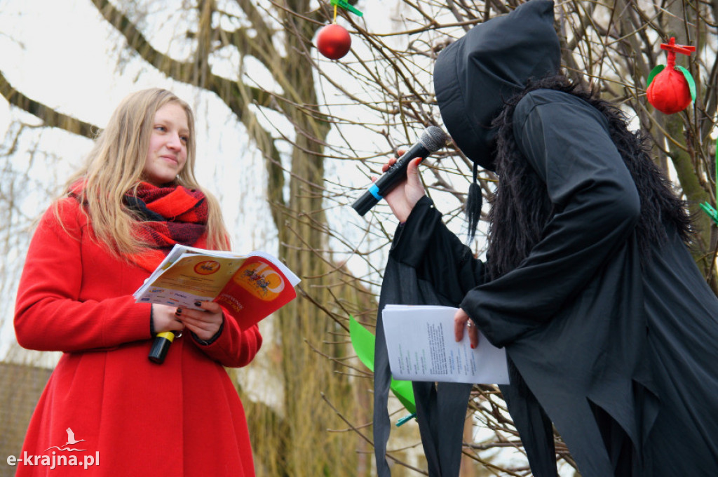 Orszak Trzech Króli przeszedł ulicami Człuchowa
