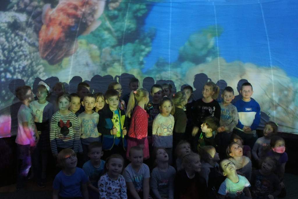 Pokazy Oceanarium w 