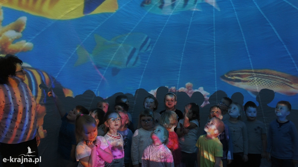Pokazy Oceanarium w 