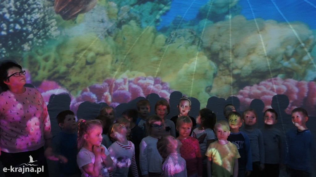 Pokazy Oceanarium w 