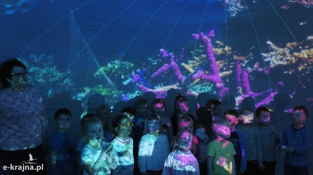 Pokazy Oceanarium w 