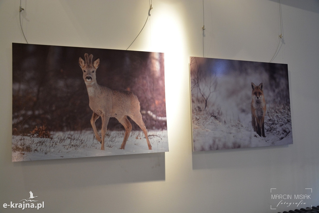 Zima na Krajnie - wystawa fotograficzna