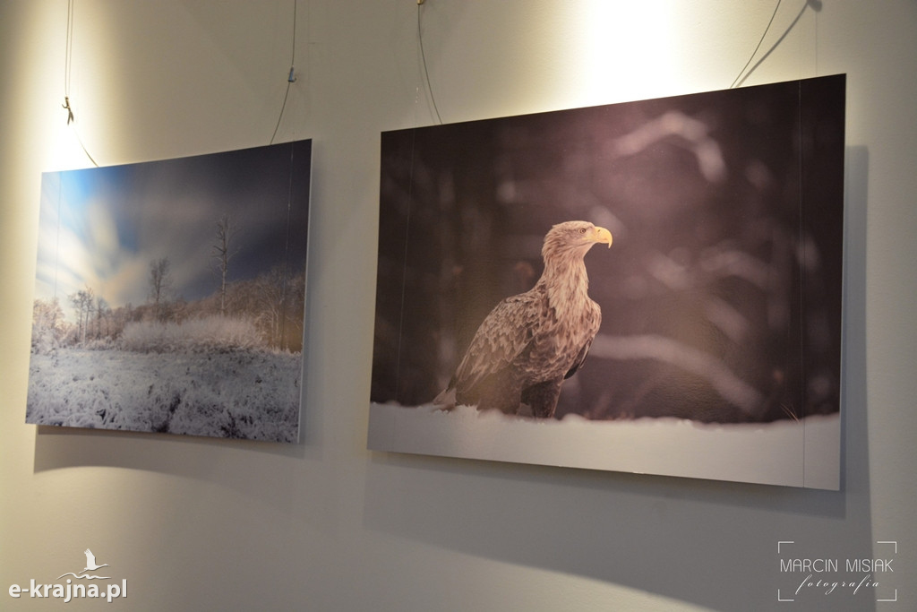 Zima na Krajnie - wystawa fotograficzna