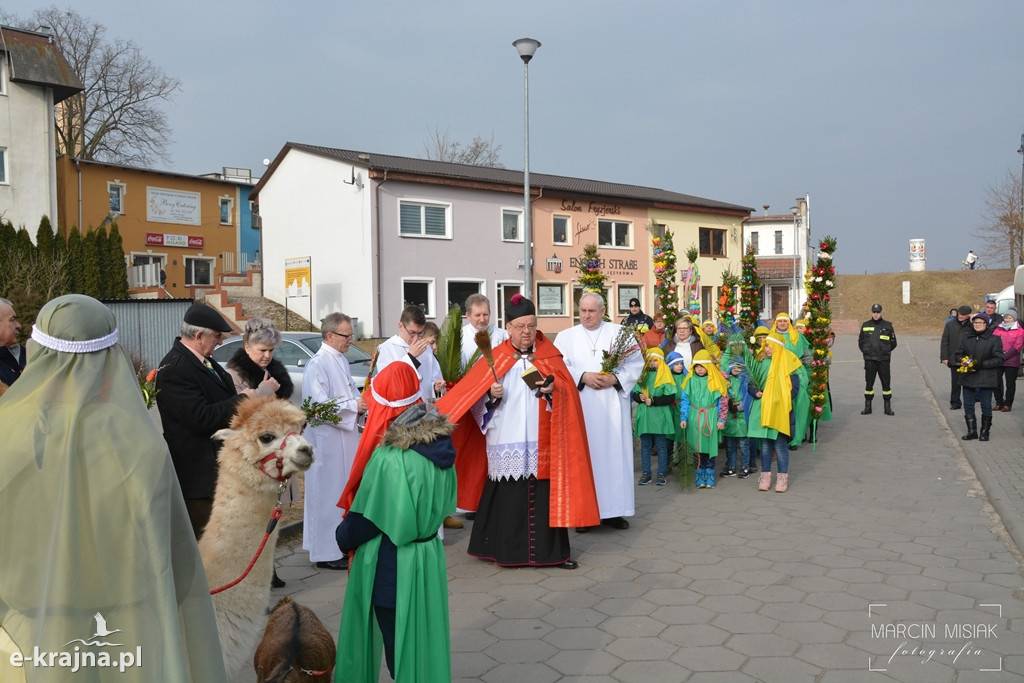 Sępólno: Niedziela Palmowa