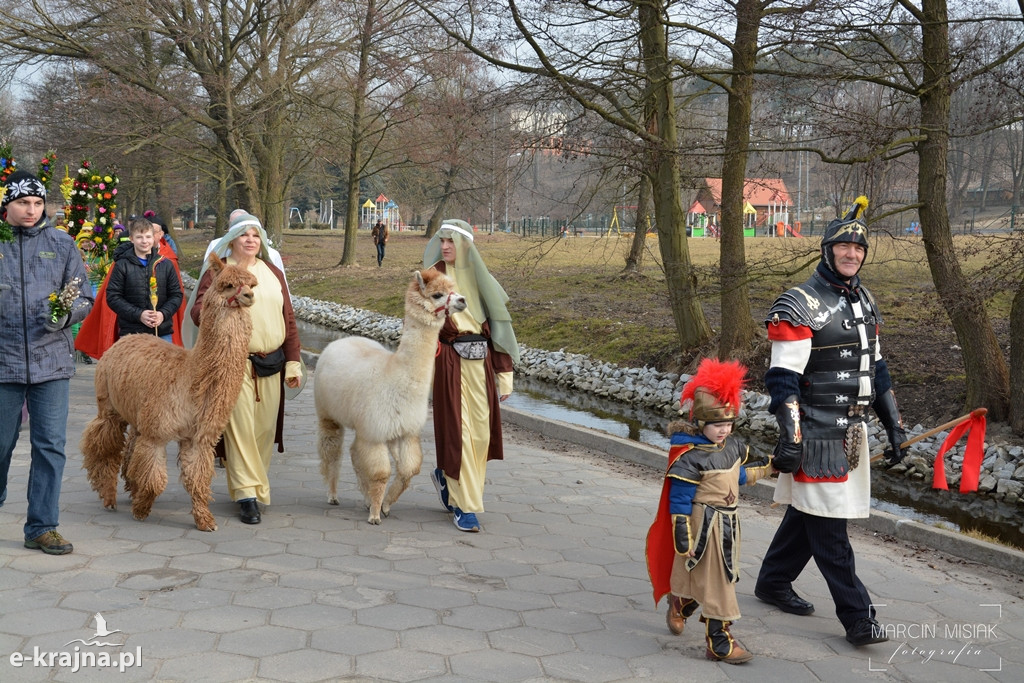 Sępólno: Niedziela Palmowa