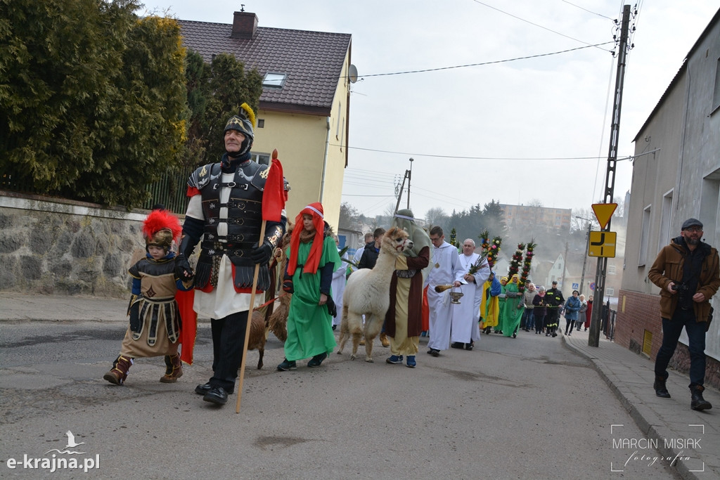 Sępólno: Niedziela Palmowa