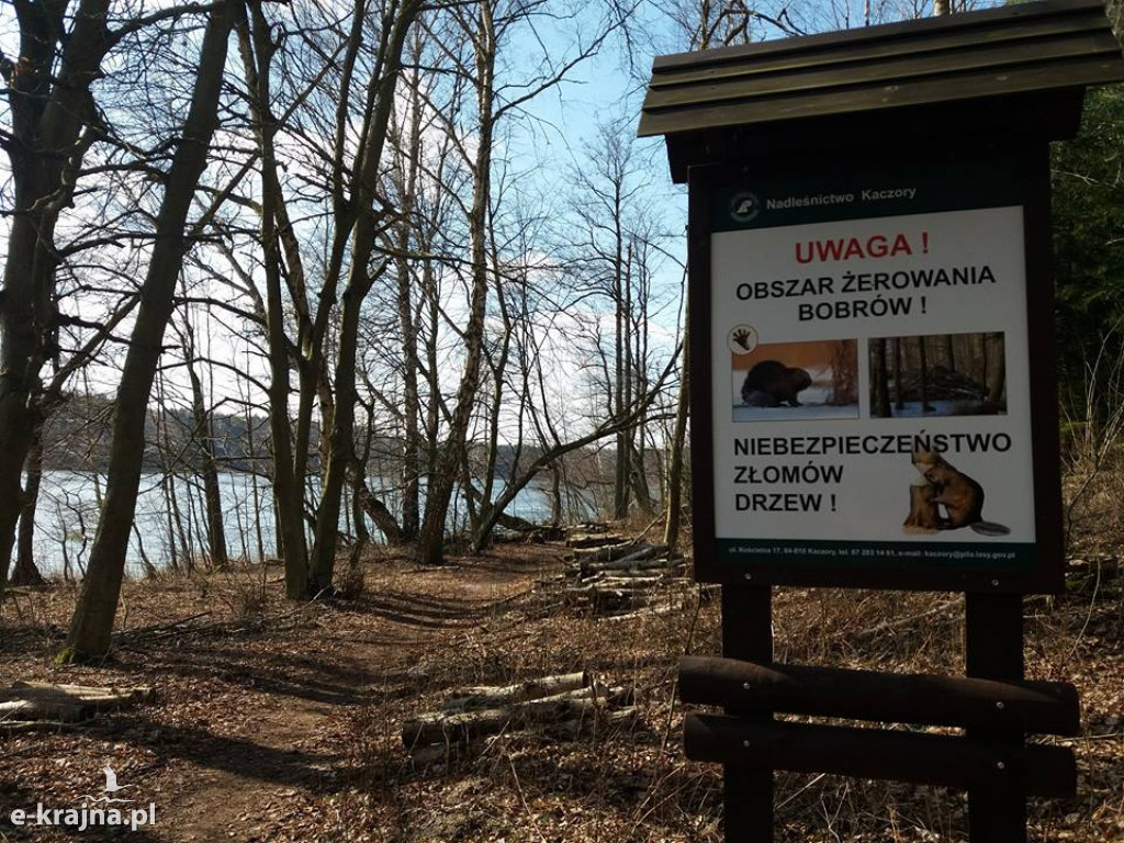 Święta Wielkanocne jakby trochę inaczej