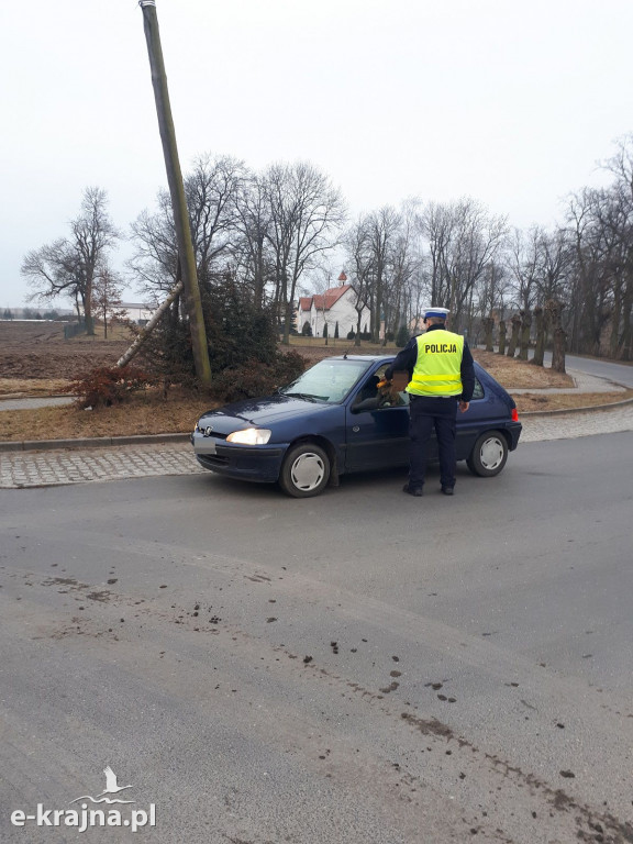 Nie wszyscy byli trzeźwi