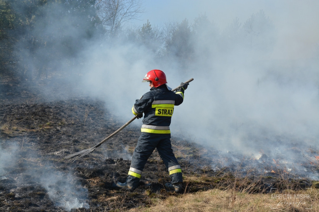 Pożar nasypu kolejowego w Sępólnie