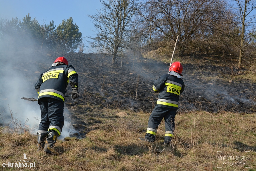 Pożar nasypu kolejowego w Sępólnie