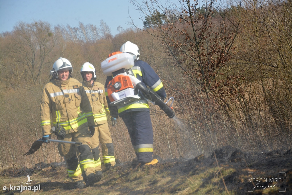 Pożar nasypu kolejowego w Sępólnie