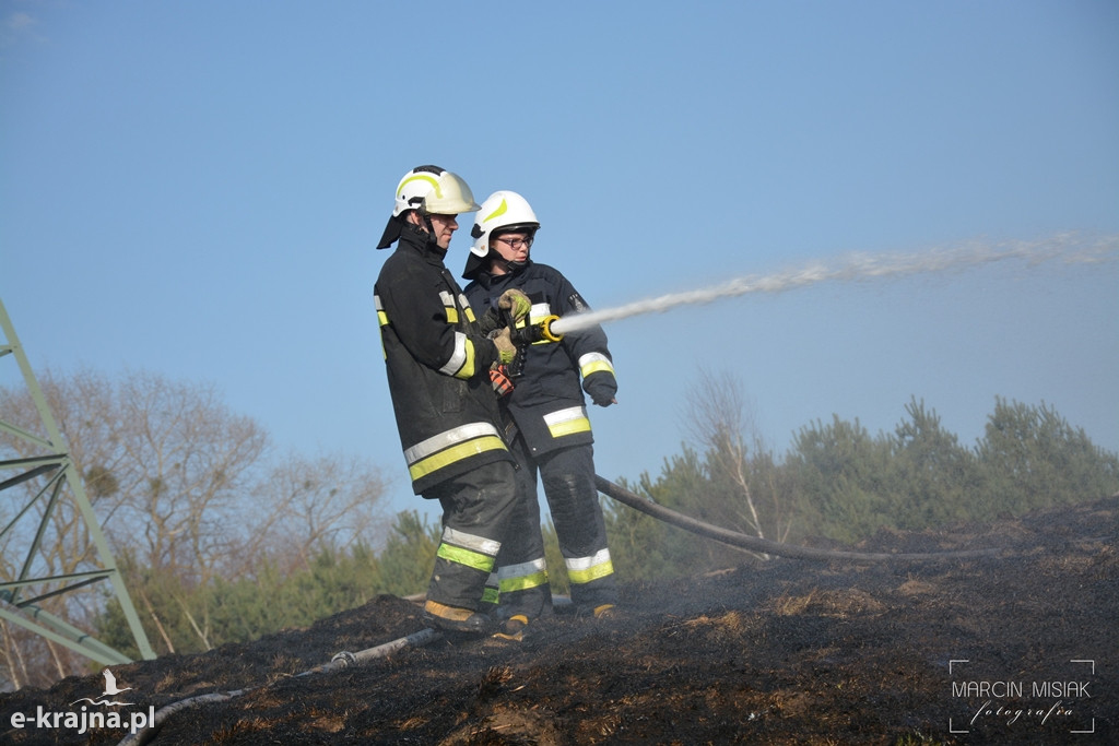 Pożar nasypu kolejowego w Sępólnie