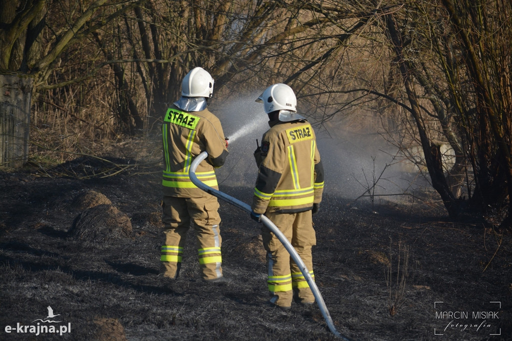 Pożar nasypu kolejowego w Sępólnie