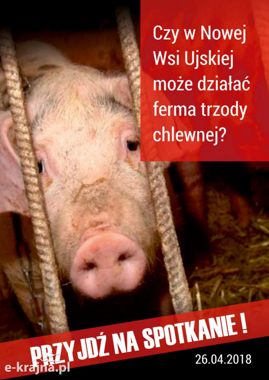 O fermie hodowlanej w Nowej Wsi Ujskiej