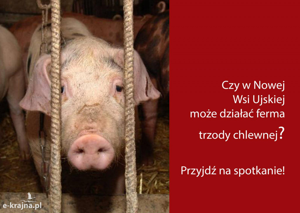 O fermie hodowlanej w Nowej Wsi Ujskiej