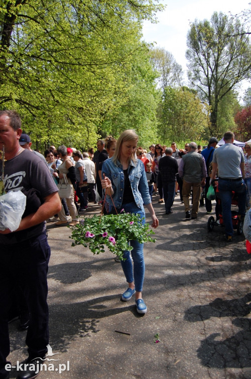 IV Powiatowe Targi Ogrodniczo-Rolnicze