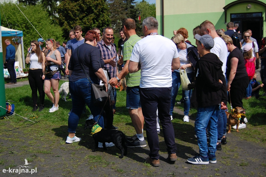 IV Powiatowe Targi Ogrodniczo-Rolnicze