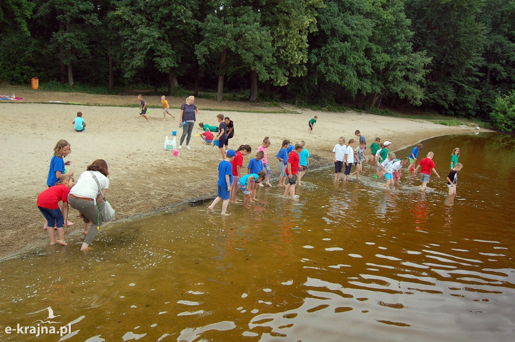 Więcbork: To był naprawdę udany piknik