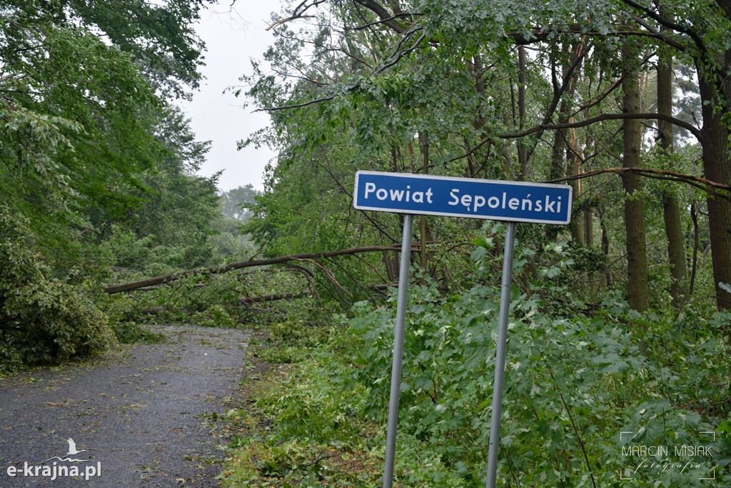 11 sierpnia, rok później