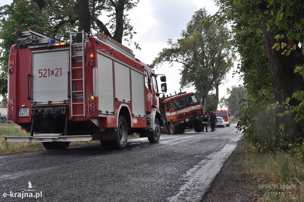 Tir z drewnem wypadł z drogi