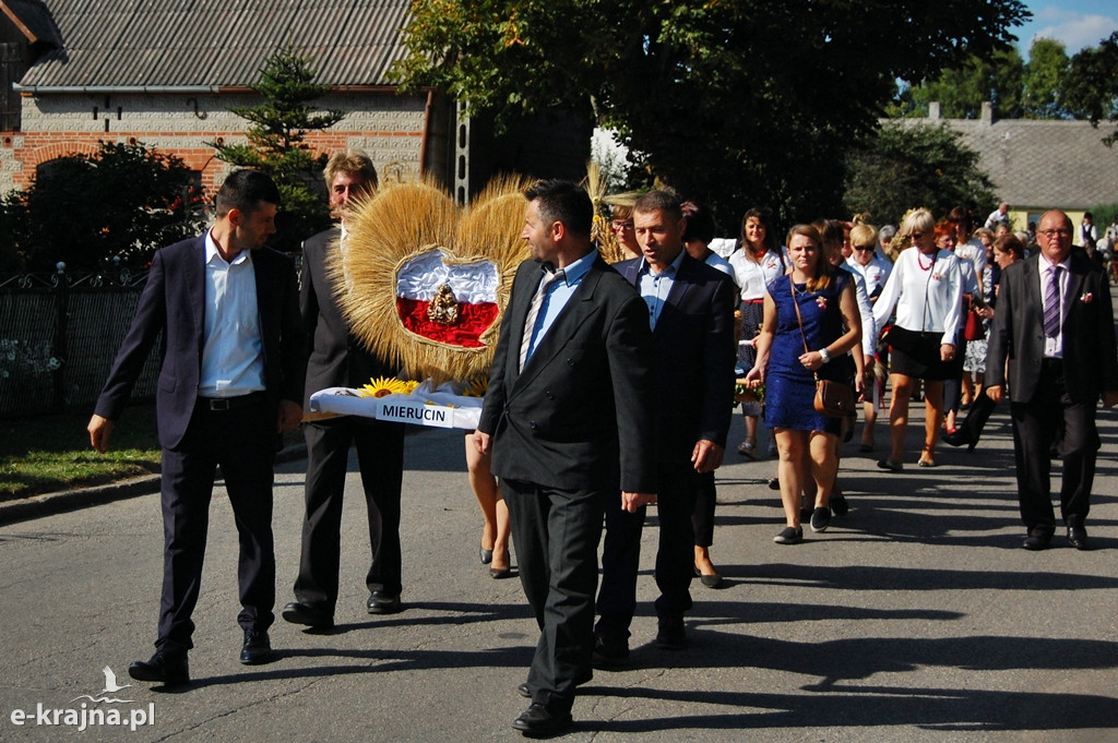 Dożynki gminne w Wielowiczu