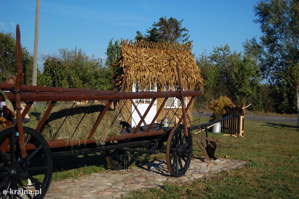 Dożynki gminne w Wielowiczu