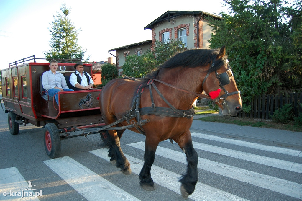 Dożynki gminne w Wielowiczu